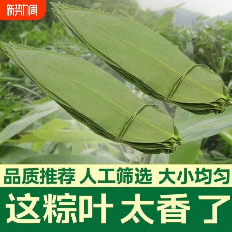 干粽叶大宽叶野生粽子叶烘干大号家用大粽叶子包端午无添加更干净