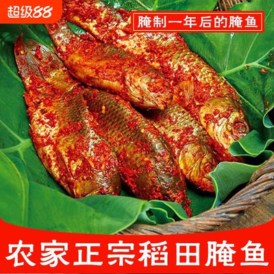 正宗贵州黎平到稻花鱼腌鱼5斤装本地酸鱼黔东南农家土特产腌制