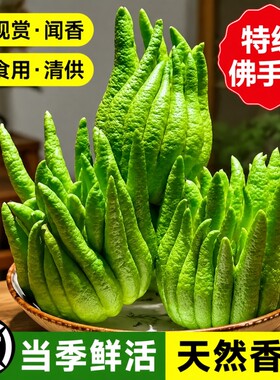 佛手柑鲜果新鲜佛手瓜切带枝室内摆件清供观赏闻香可食用花卉盆栽