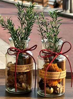 森系肉桂生财瓶大肚聚财书房办公室工位ins摆件房间招财客厅桌面