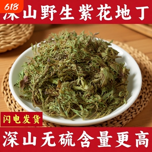 野生紫花地丁中药材正品犁头草新鲜干货地丁草泡茶泡水新货中草药