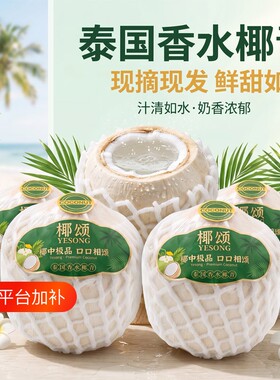 泰国椰子特大果|超1.3万次加购