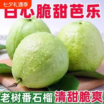 正宗珍珠芭乐白心番石榴硬脆新鲜低脂低糖水果现摘现发应季一整箱