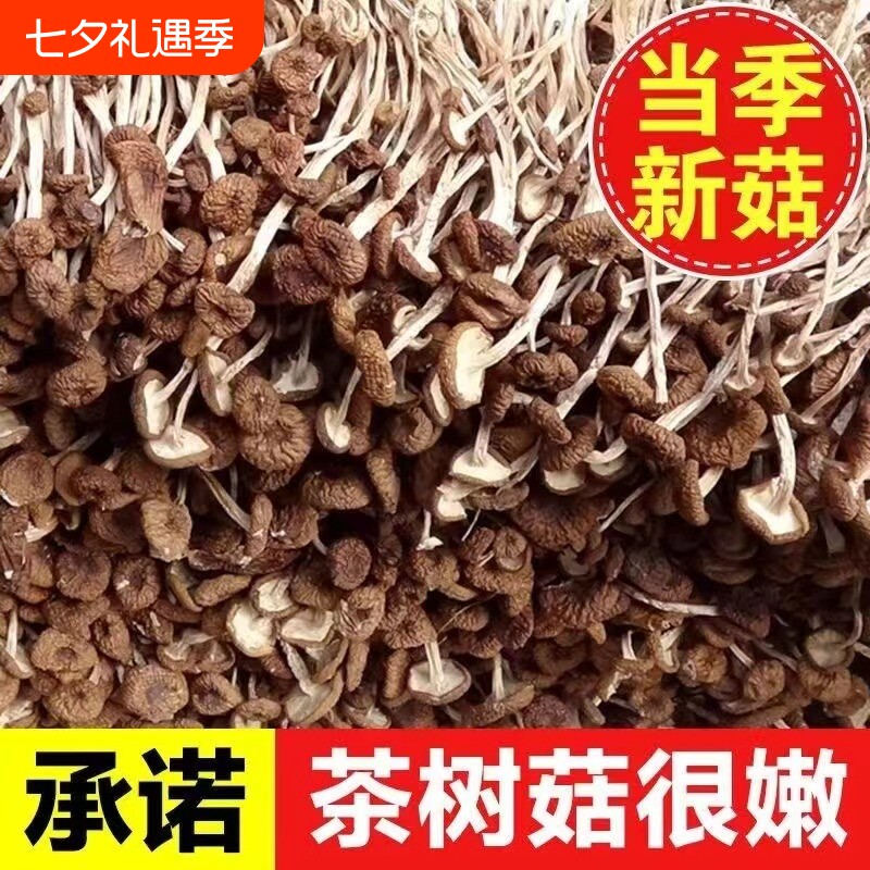鲜嫩农家茶树菇干货100g