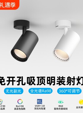 明装COB射灯家用店铺商用可调角度聚光吸顶筒灯天花灯客厅餐厅