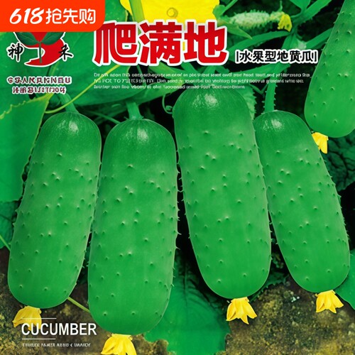 满地爬水果黄瓜种子四季庭