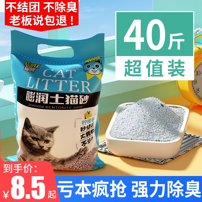 膨润土除味猫砂10斤|千人加购