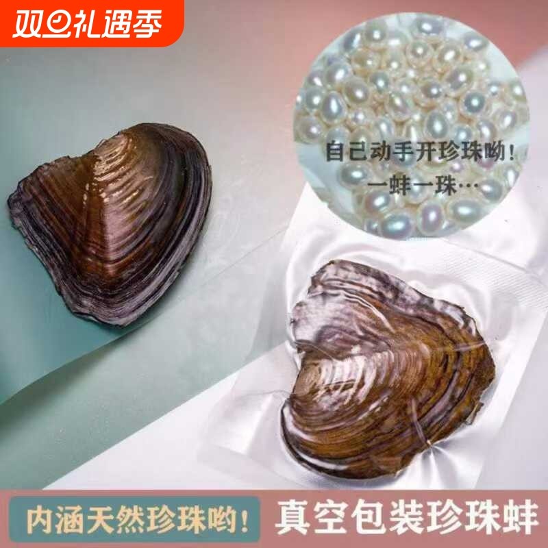 诸暨淡水迷你珍珠蚌蚌一蚌一珠爱迪生河蚌自己开蚌取珍珠diy国货