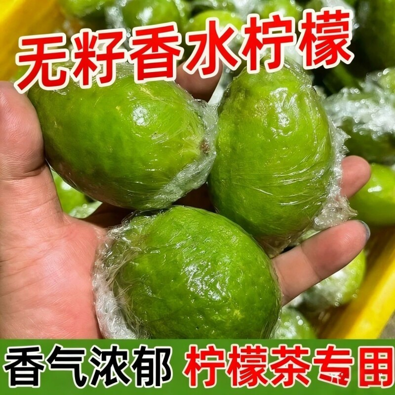 爆香广东香水柠檬新鲜现摘一级果无籽奶茶店手打柠檬茶饮青香柠檬