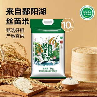 鄱阳湖大米臻香丝苗米袋装 长粒煲仔饭米江籼米新米湖丝优质生态