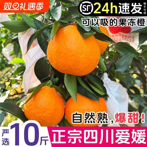 SVIP爱媛38号大果礼盒|千人加购