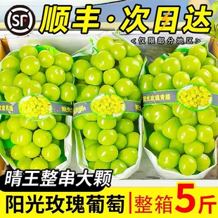 阳光玫瑰 特级玫瑰香正宗葡萄当季水果湖北顺丰包邮晴王青提