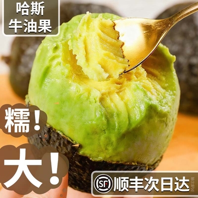 顺丰速达云南孟连哈斯牛油果15个巨无霸新鲜水果当季现摘一级鳄梨