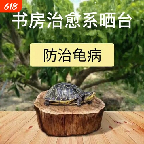 龙眼木龟晒台中型|超6000次加购
