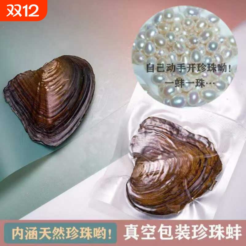 诸暨淡水迷你珍珠蚌蚌一蚌一珠爱迪生河蚌自己开蚌取珍珠diy国货