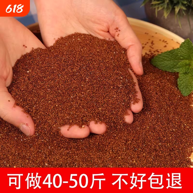 四川手搓冰粉籽特级冰粉凉粉摆摊专用送纱布实惠优质手工冰籽批发