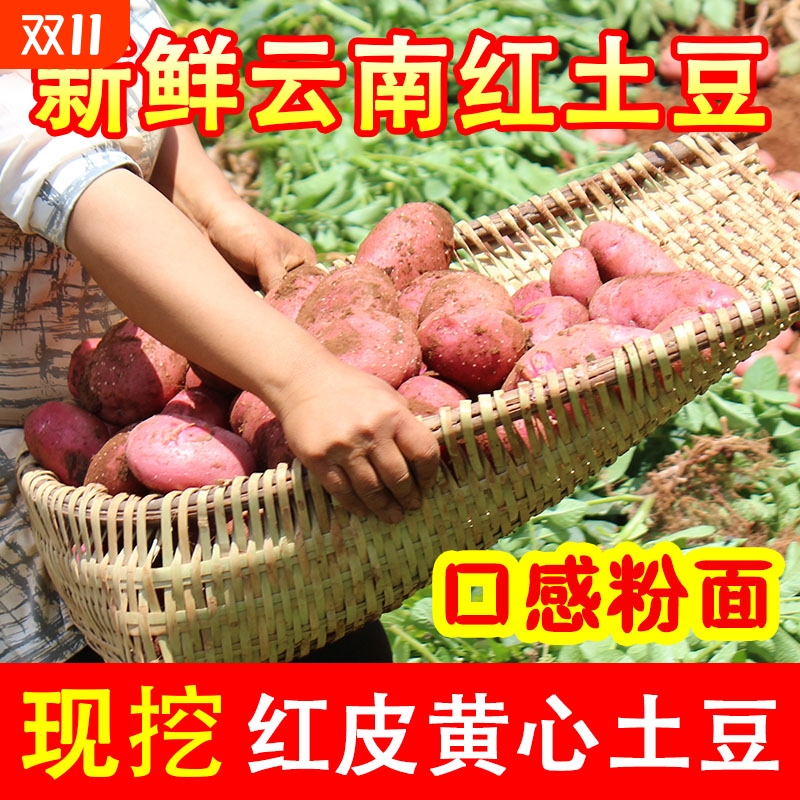 云南粉面大土豆9斤|174人收藏