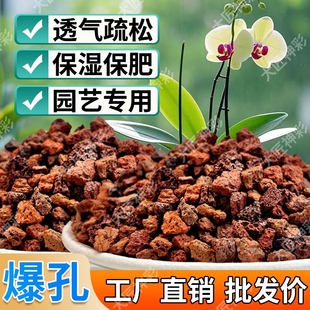 火山石小颗粒养花蝴蝶兰花专用多肉铺面石水培植物铺底鱼缸底砂石