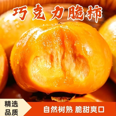 正宗巧克力脆柿子脆皮甜柿子甜脆孕妇当季新鲜水果脆甜多汁