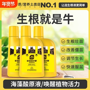 史丹利生根液植物通用快速生根粉生根水强力扦插专用生根剂壮苗剂