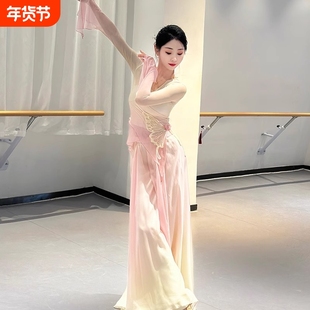 古典舞蹈服装飘逸身韵纱衣练功服女夏中国舞演出服裙裤套装表演服