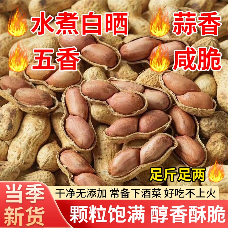 龙岩花生蒜香味五香味带壳花生米下酒菜年货解馋小零食炒货特产