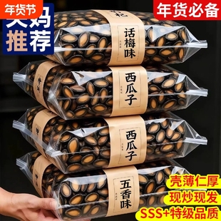 2025新货大颗粒话梅味西瓜子陈皮牙签五香官方旗舰店原生零食批发