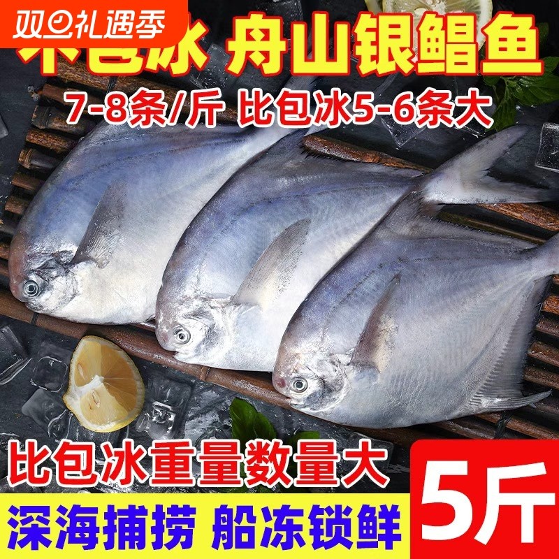 舟山银鲳鱼野生鲜活冷冻鲳鱼深海鱼平鱼昌鱼海鲜水产鳊鱼晶鱼一斤