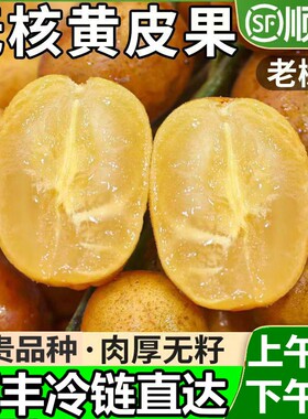 顺丰冷链黄皮果新鲜广东鸡心黄皮无核水果孕妇郁南当季现摘直供