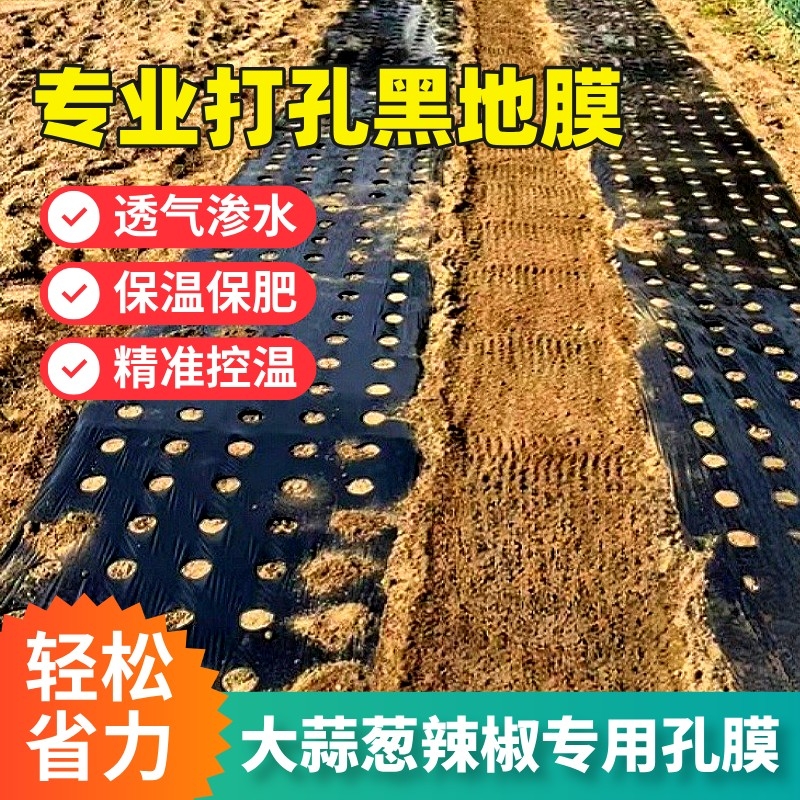 打孔黑地膜羊肚菌防草膜辣椒莴笋药材保温农用塑料膜种植大蒜保湿