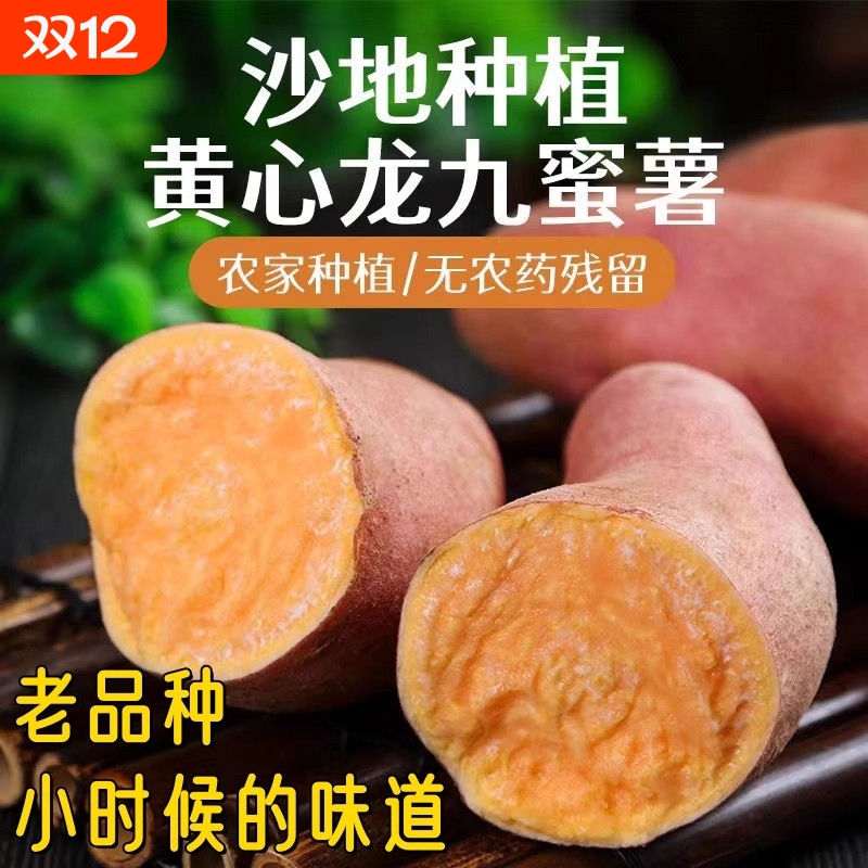 黄心红薯鸡蛋黄龙九新鲜地瓜河南沙地番香薯山芋正宗包邮粉糯香甜