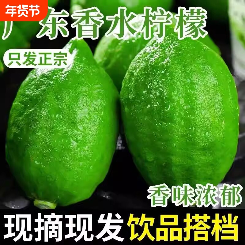 广东香水柠檬子弹头青柠檬独立包装当季水果包邮新鲜鲜果奶茶