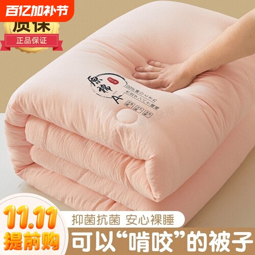 大豆纤维加厚被芯|超5000次加购