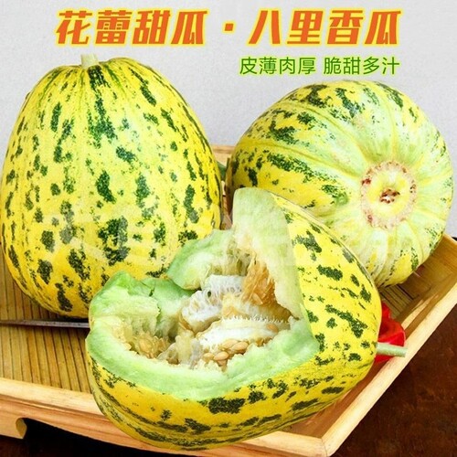 山东特产八里香东北香瓜花蕾甜瓜新鲜现摘应季孕妇水果包邮脆甜