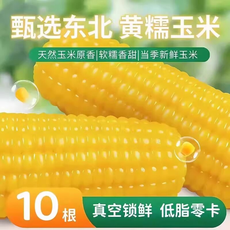 东北玉米棒软糯香甜新鲜真空糯玉米黄糯玉米饱腹代餐粗粮甜玉米