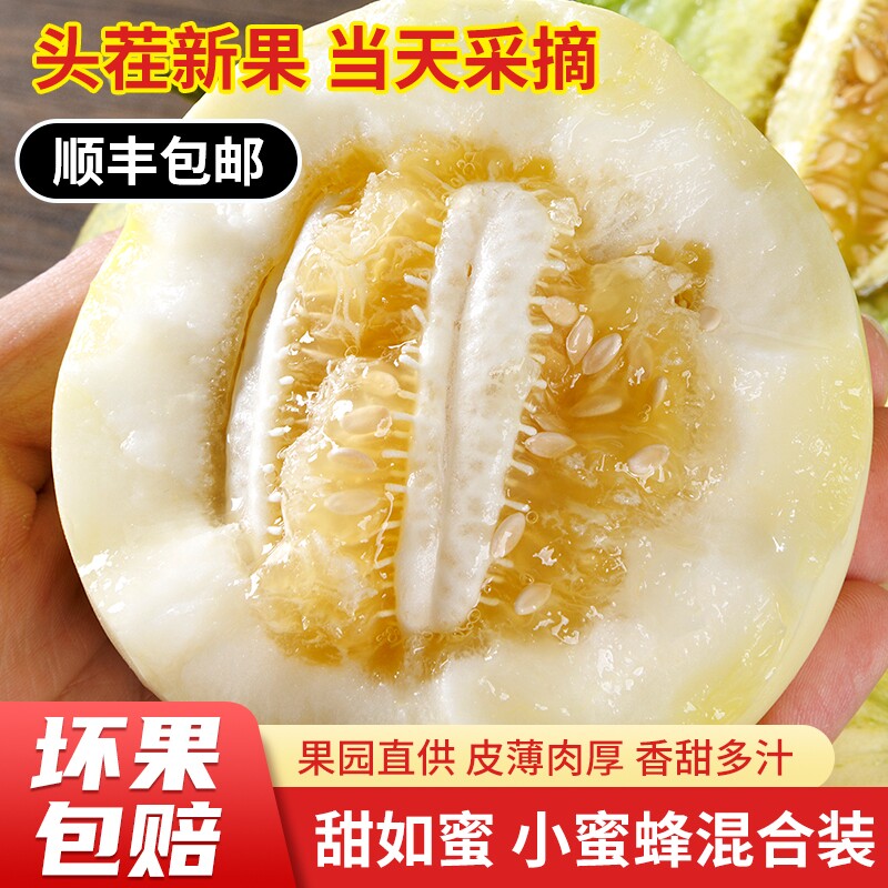 顺丰包邮蜜罐香瓜甜瓜新鲜水果当季蜜瓜沂蒙甜脆蜜糖罐小蜜蜂玉菇