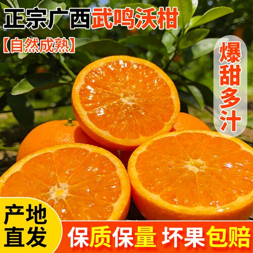 武鸣沃柑水果新鲜沃柑广西皮薄橙子蜜橘子当季整箱包邮生鲜原产地