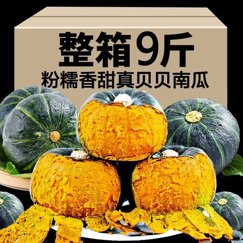 正宗贝贝南瓜新鲜板栗味小南瓜宝宝辅食粉面糯整箱包邮10香甜