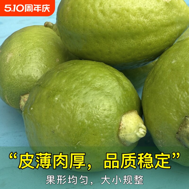 特价商用 广东香水柠檬新鲜柠檬无籽一级果鸭屎香柠檬茶奶茶专用