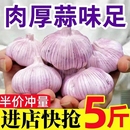 山东金乡大蒜干蒜头1斤 3斤5斤紫白皮新蒜干大蒜农家鲜大蒜头批发