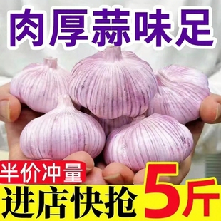 山东金乡大蒜干蒜头1斤 3斤5斤紫白皮新蒜干大蒜农家鲜大蒜头批发