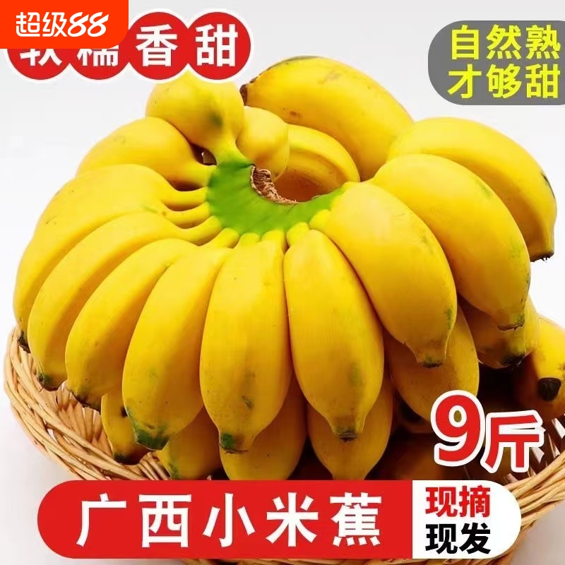 正宗皇帝苹果广西小米新鲜水果当季水果自然熟 整箱批发甜糯香蕉