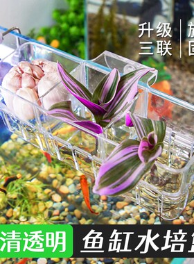 鱼缸水培篮透明壁挂定植篮绿萝植物固定器支架造景配件隔板方形
