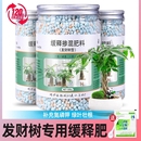 緩釋肥發財樹幸福樹專用肥氮磷鉀顆粒肥摻混肥花肥通用肥料治黃葉