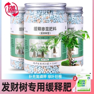 緩釋肥發財樹幸福樹專用肥氮磷鉀顆粒肥摻混肥花肥通用肥料治黃葉