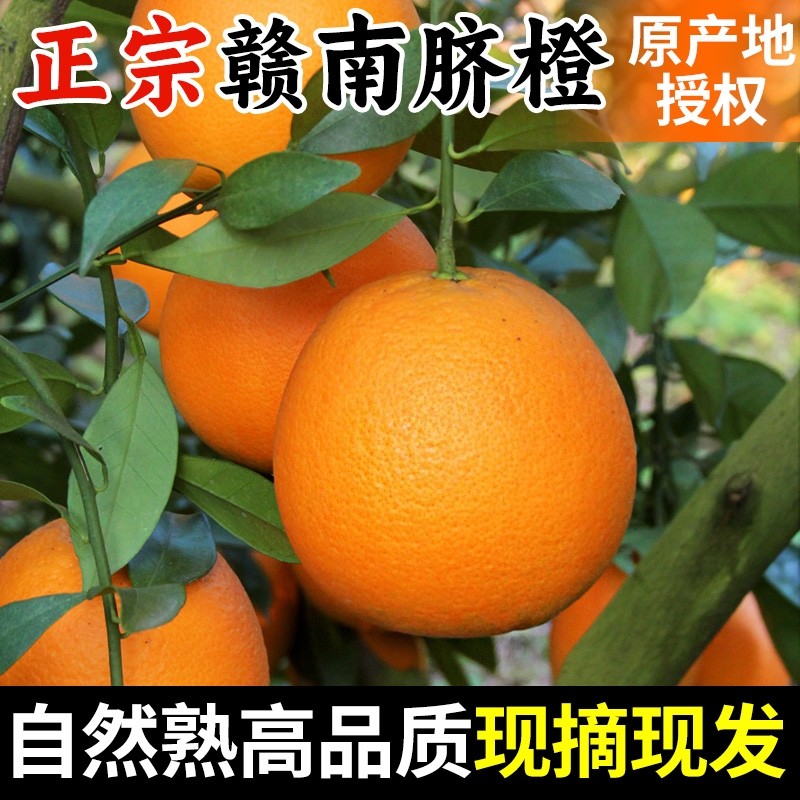 正宗江西赣南脐橙当季水果手剥甜橙子5斤9斤装赣南产地直发新鲜,水产肉类/新鲜蔬果/熟食,橙,淘宝优惠券,粉丝福利购,淘宝优惠卷