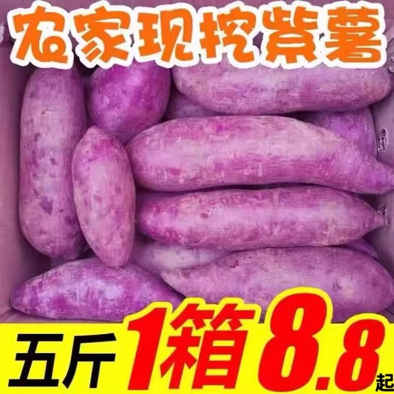 紫薯新鲜农家自种地瓜紫心蜜薯种薯9斤现挖沙地番薯山芋蔬菜当季图片