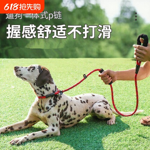 狗狗牵引绳小中大型犬防爆冲P链