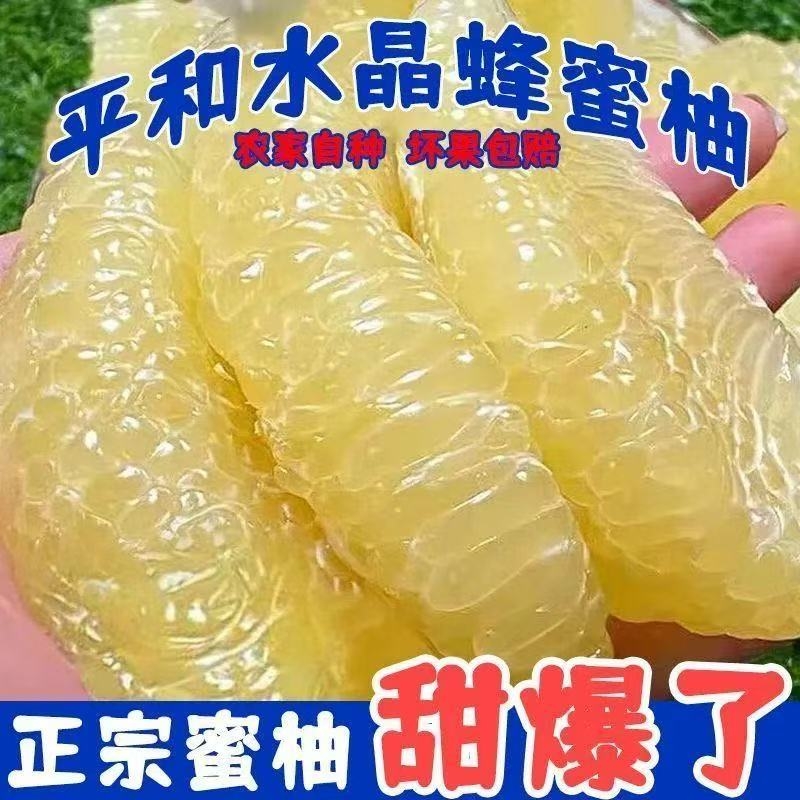 正宗福建平和琯溪水晶白心蜜肉柚