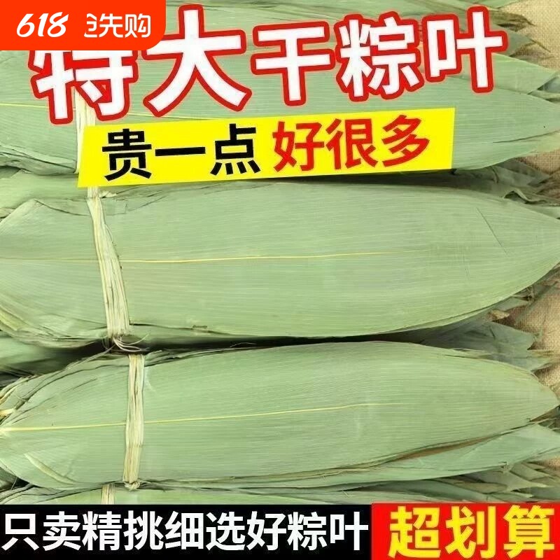 干粽叶粽子叶大宽叶家用端午包粽子专用野生正宗新鲜箬叶批发包邮